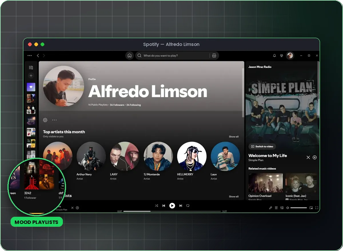 Spotify Playlists
