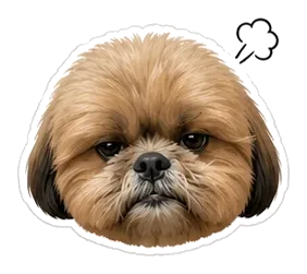 Coco: grrr!
