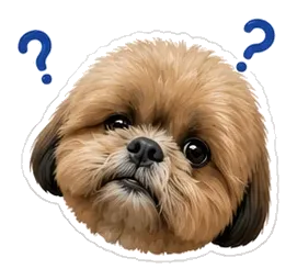 Coco: hmmm?