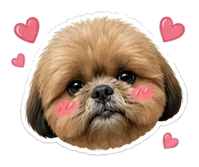 Coco: love you!