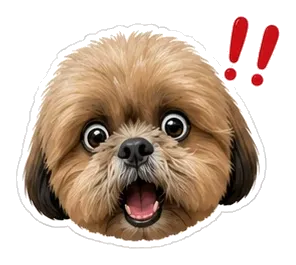 Coco: lah???