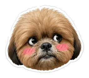 Coco: sorry, too cute