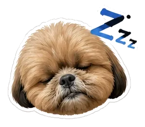 Coco: good night :3