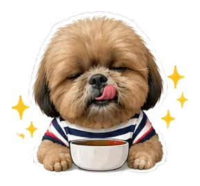 Coco: soup time!